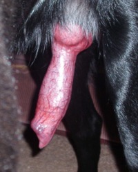 photo-thumb