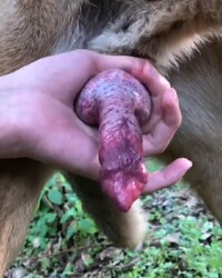 photo-thumb