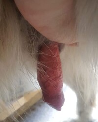 photo-thumb