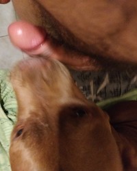 album-cover
