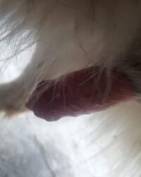 photo-thumb