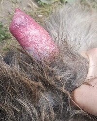 photo-thumb