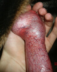 photo-thumb