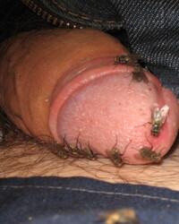 album-cover