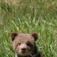 Grizzly_65's Avatar