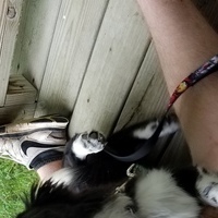 FreakonaLeash's Avatar