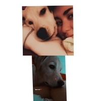 teenjdns's Avatar