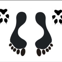 debbiepet's Avatar