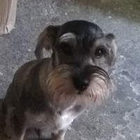 Elverga1963's Avatar