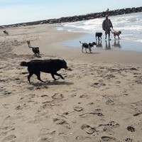 perrita's Avatar