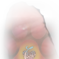 K9K3773's Avatar