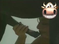 hoes and horses