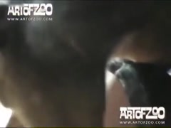 Thumb 11