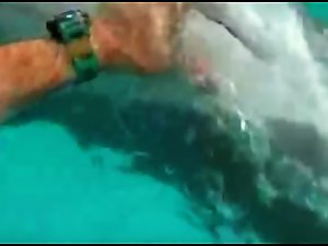 Dolphin oral