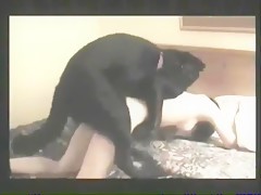 A classic and delishious Compilation