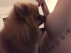 Louis love Milenas Nipples