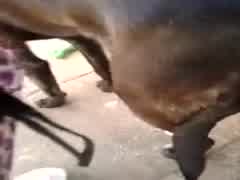 Handjob free