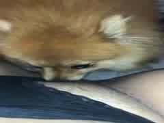 Quick taste with my animal