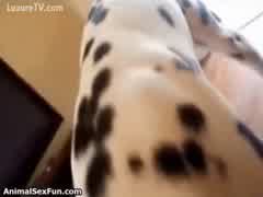 freaked out by my dog