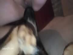 Thumb 3
