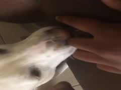Thumb 3