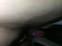 Sex dog for webcam