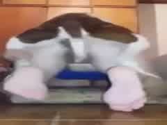 Alone at home