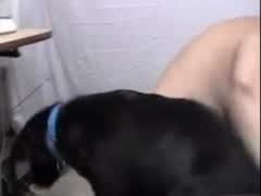 Chubby fuck with her dog, fills her vagina