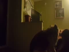 My first fuck with my little doog