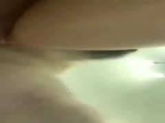 White dog fucking