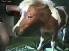 Gay with pony