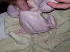 Thumb 3