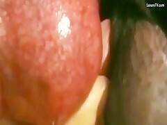 Thumb 11