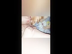 Dog is kneeling and sucking a big pussy