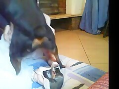 Thumb 3