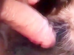 Webcam Gay Plays With Her Dog Till Penetrated
