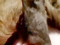 Thumb 13