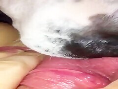 Thumb 10
