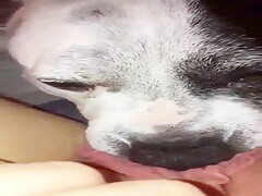 Thumb 11