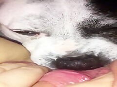 Thumb 16