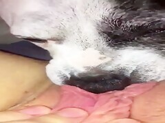 Thumb 6