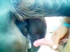 Thumb 14