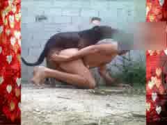 Quase não aguentei o pauzao enorme do dog betoven  passivopranegros