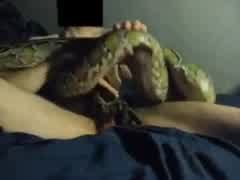 Man fucking an snake