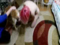 A pretty Russian girl celebrates coming of age by testing her limits with a dog part 3