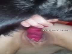 Sex dog cum amateur