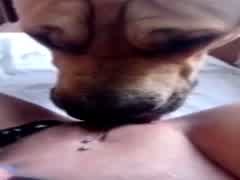 Hot milf at home lick and fuck