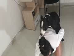I am fucking this office bitch