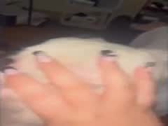 New