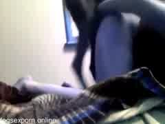 Horny dog 2